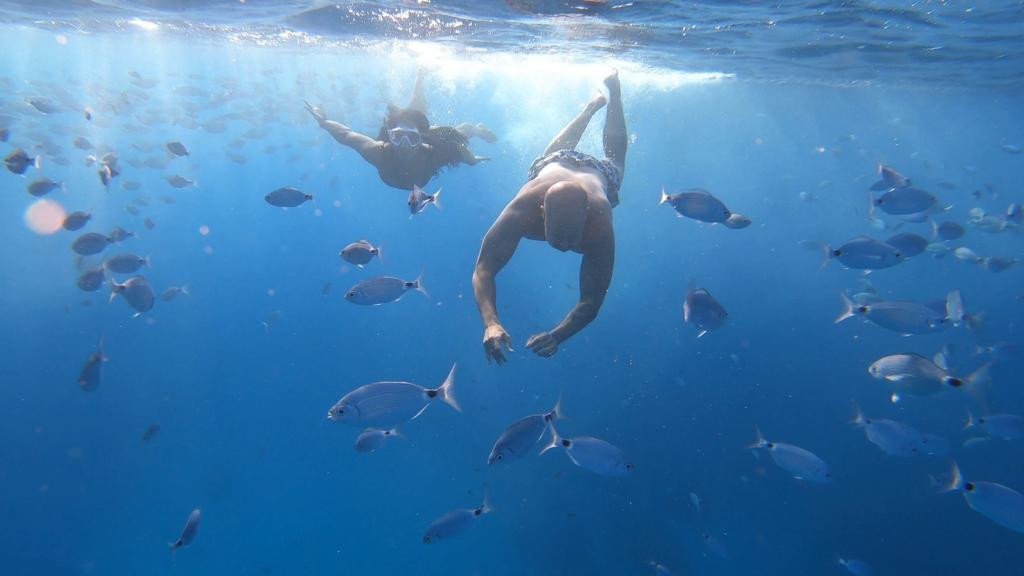 Snorkell-en-Ibiza-y-Formentera