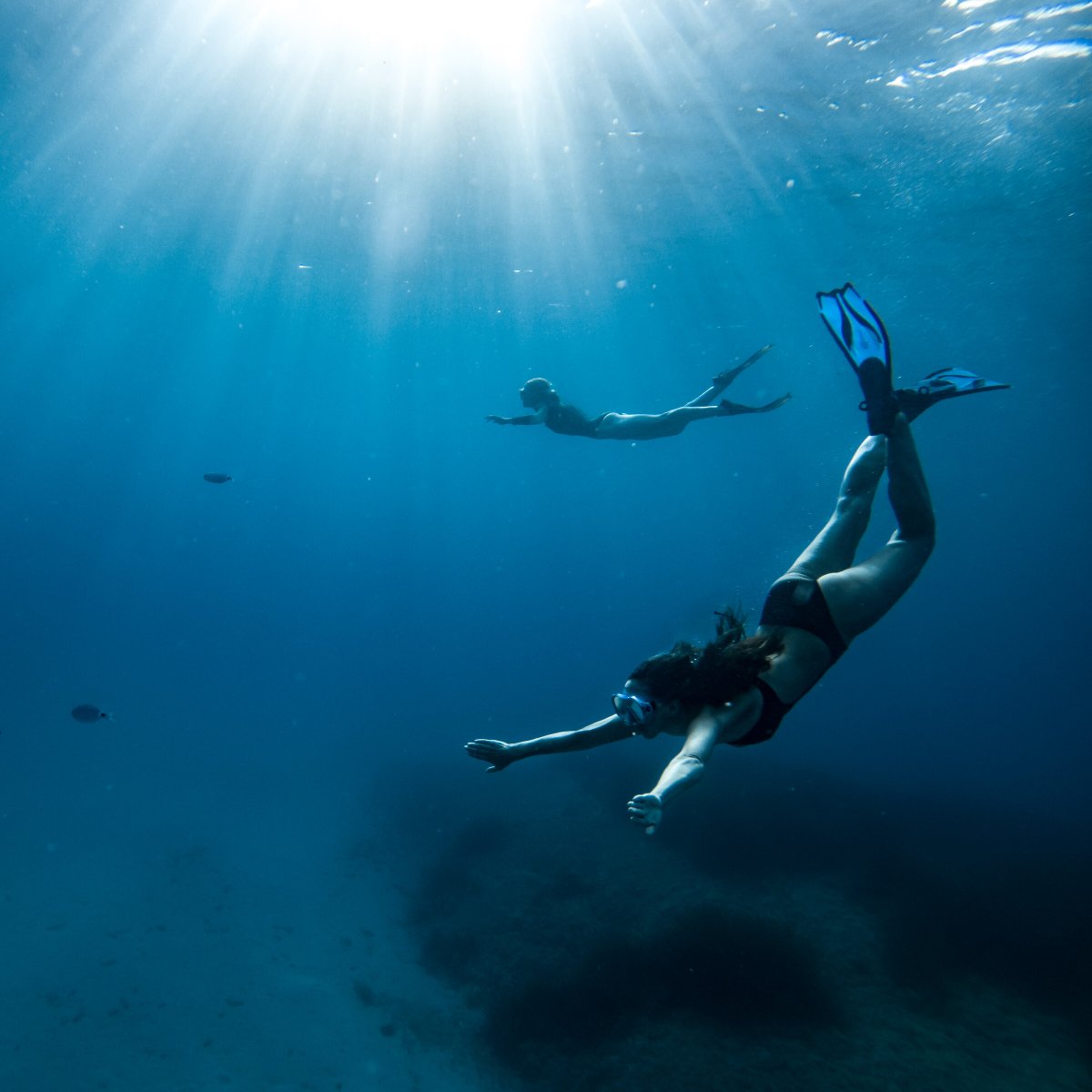 Explore Capri Island from the sea in an all-inclusive catamaran