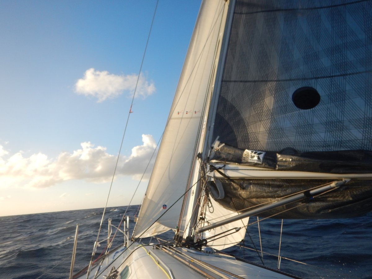 Die Regatta wird vom Royal Ocean Racing Club in England organisiert und ist zu einer der beliebtesten Segelregatten der Karibik geworden.