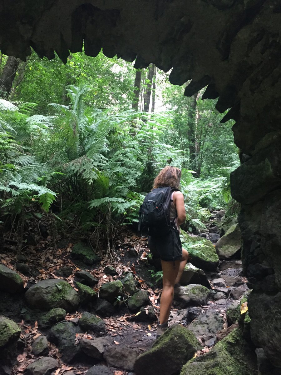 From Sea to Summit: Adventure in the Canary Islands