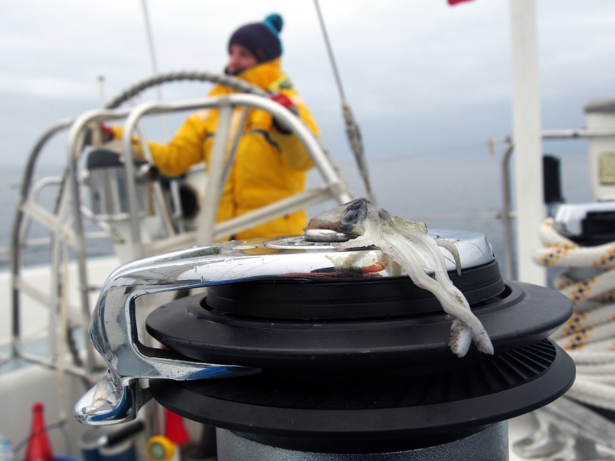Imbarco sulla nave a vela nel porto di Lorient