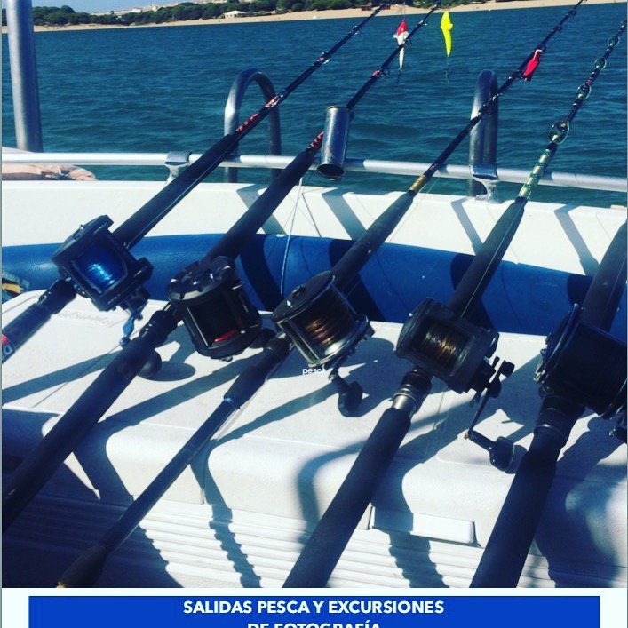 boat trips by el rompido 