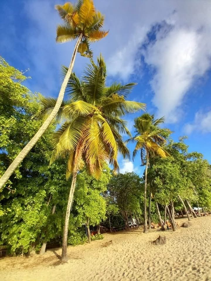 Caribbean cruise: from Martinique to Saint Martin