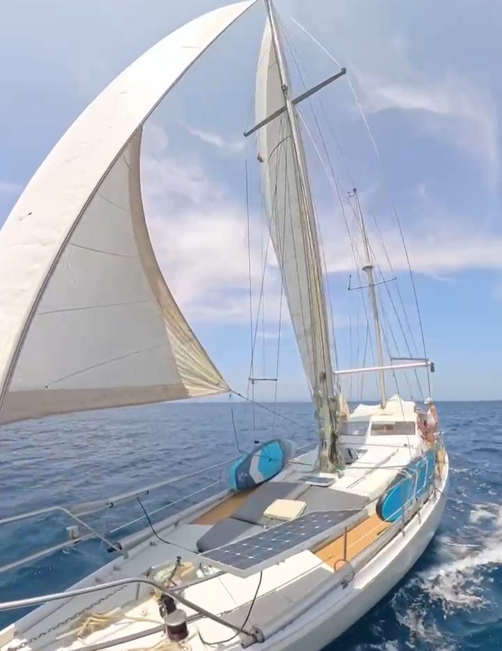 Segel und koche auf einem Segelboot in den Gewässern von Mallorca