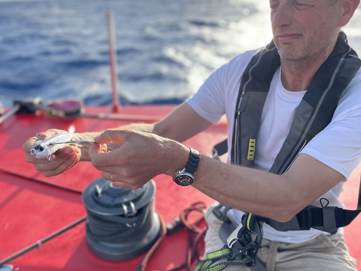Avventura di navigazione attraverso l'Atlantico su un Volvo 60: Lorient-Canarie-Caraibi