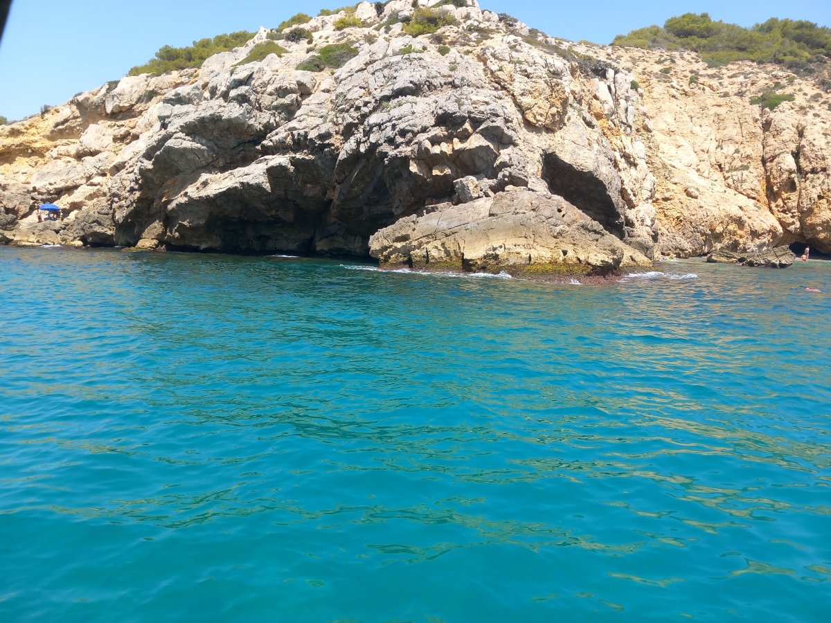 Llaüts Mallorquins - tiburon 44