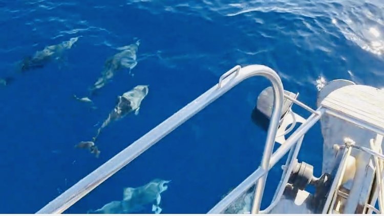 Experiencia de navegación desde Lanzarote a Martinica