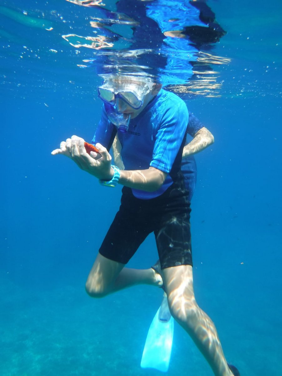 Ischia - Navegando entre ciencia y arte