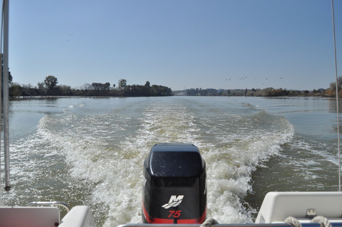 license-de-navegacion-sevilla