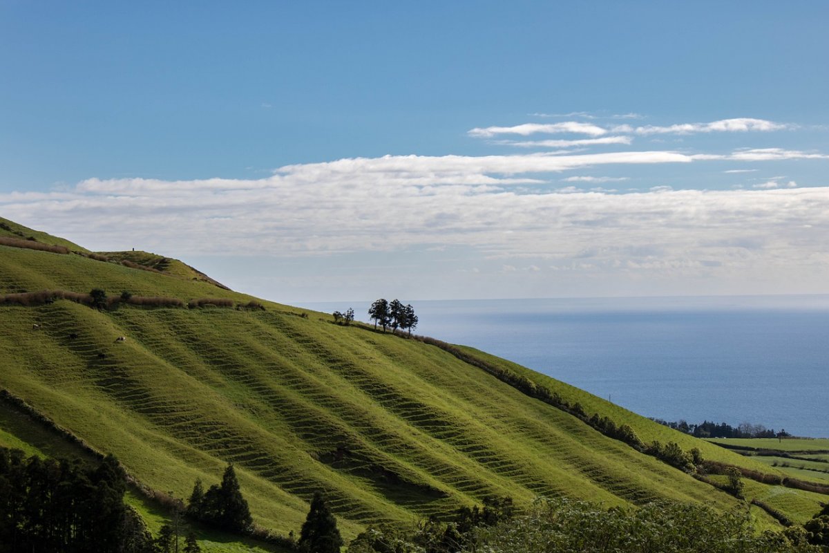 Sailboat Adventure in the Azores: Sailing and Nature in the Atlantic