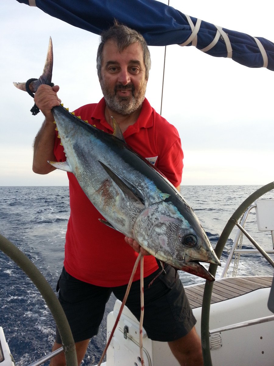 Alt text 4: Malerei Dörfer von Cinque Terre mit weißen und blauen Häusern