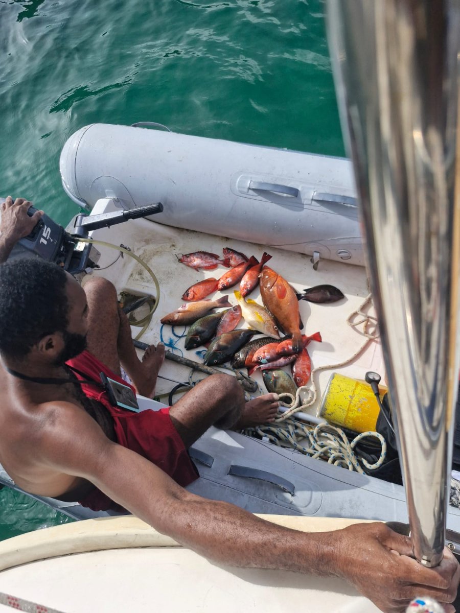 Experiencia de navegación por Guadalupe y sus islas: Les Saintes y Marie Galante