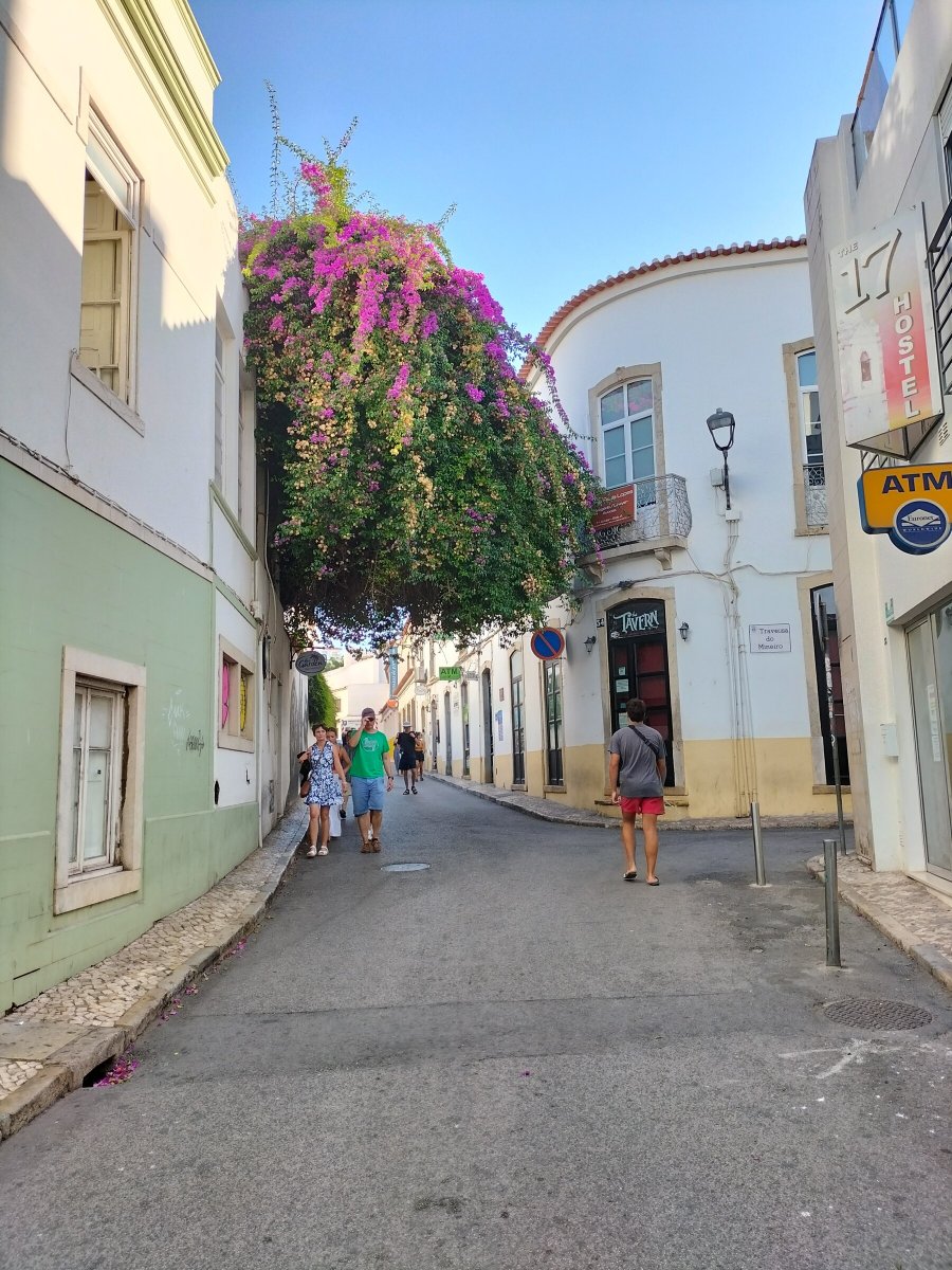 Explora las playas y pueblos pintorescos de la costa