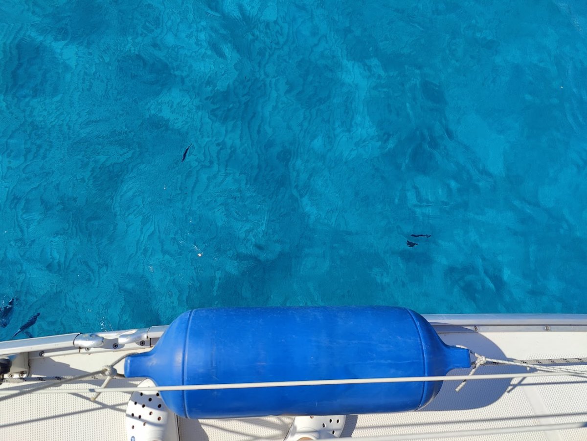 Impara a navigare a vela ad Alicante