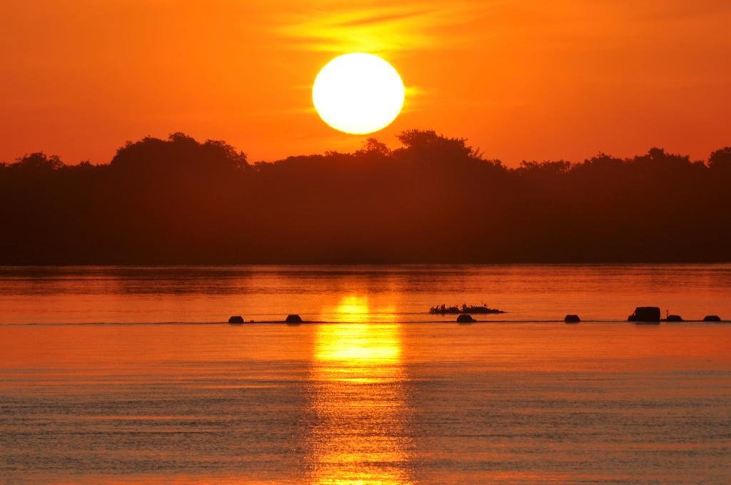 Vom Fluss aus bewundern Sie die Schönheit des paraguayischen Dschungels