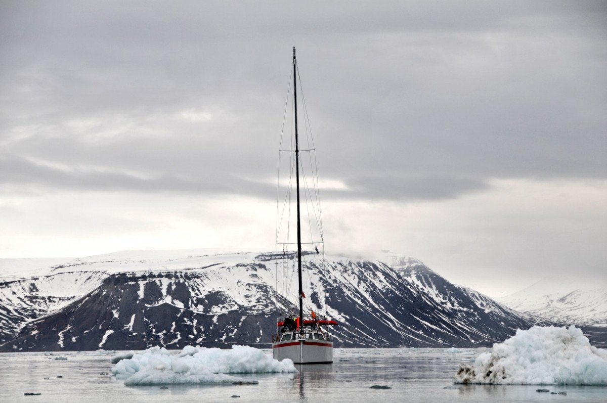 One Off - 14.5 meters