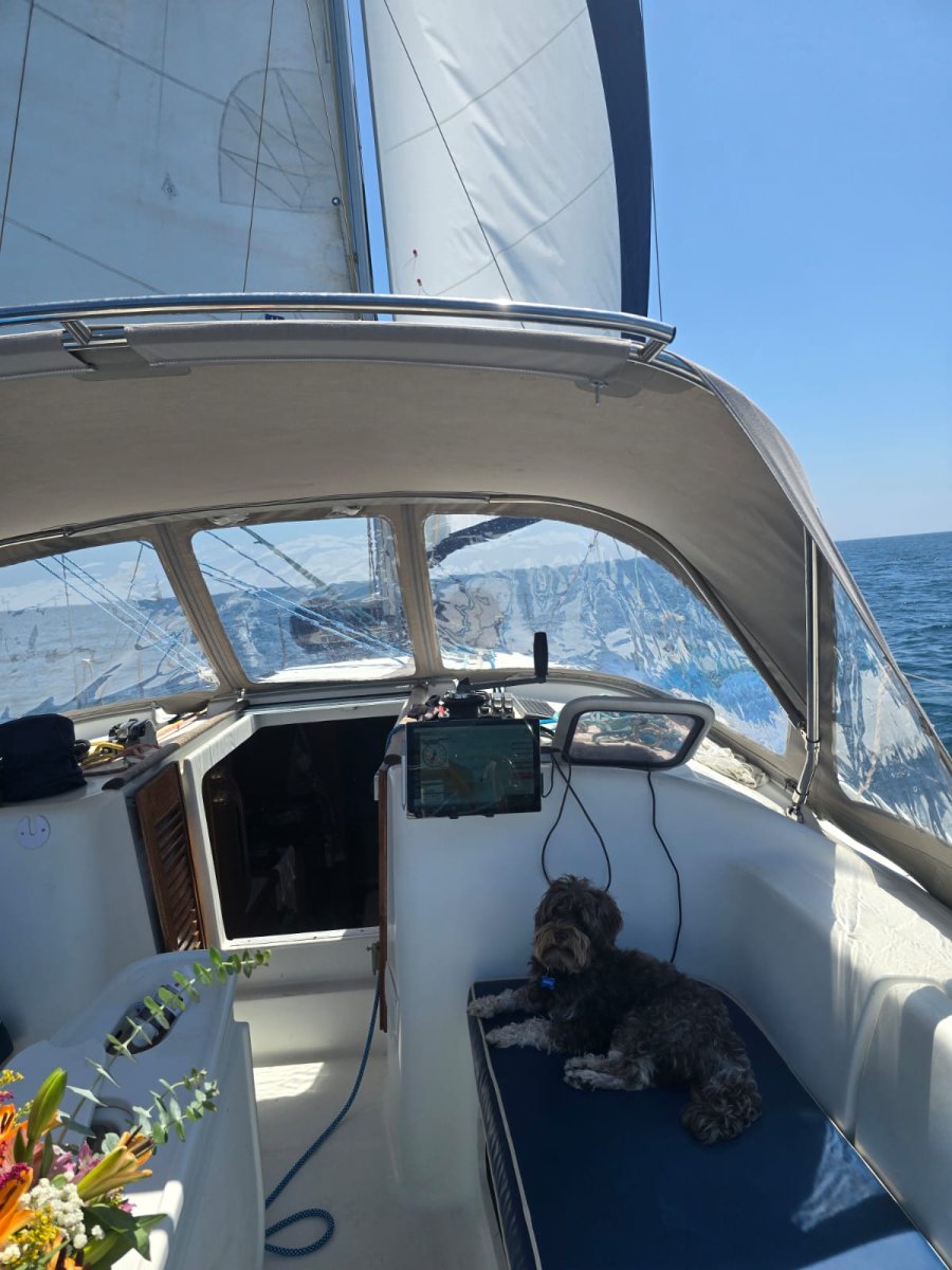 Aprende a navegar en el mar Mediterráneo