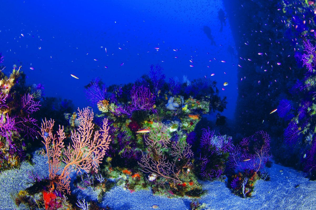 Erkunden Sie die Mittelmeerküste auf einer Segelreise von Málaga