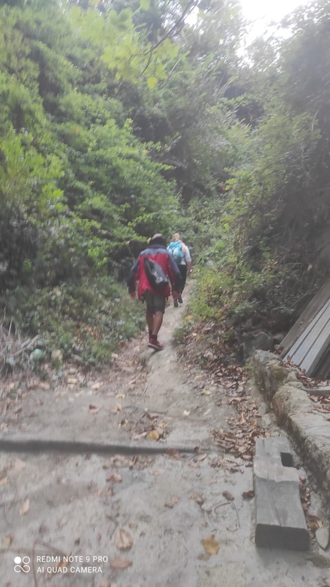 Escursione in barca e vela a Ischia: vela, trekking e panorami spettacolari
