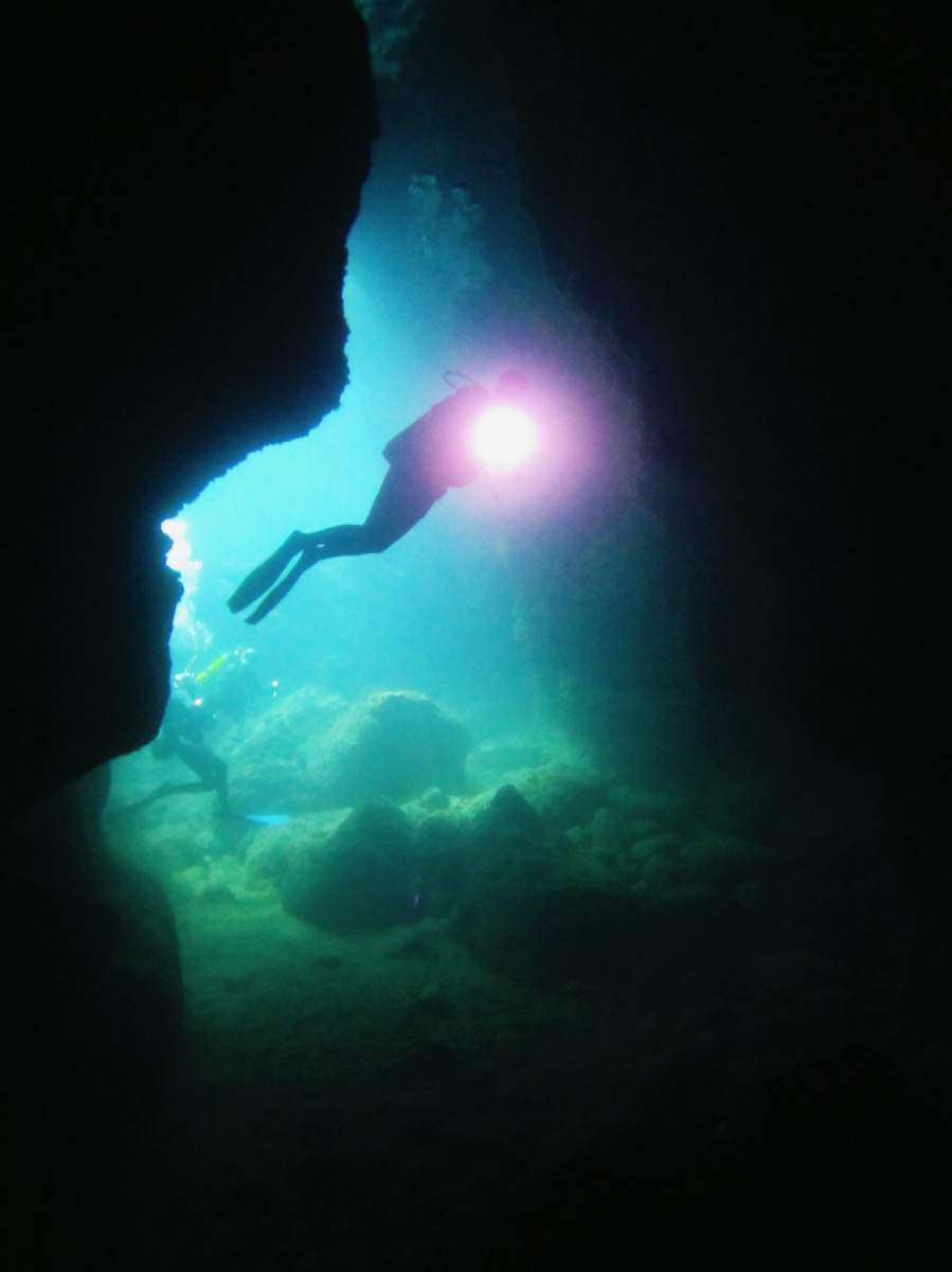 Velero - Furia Yacht - 8 personas