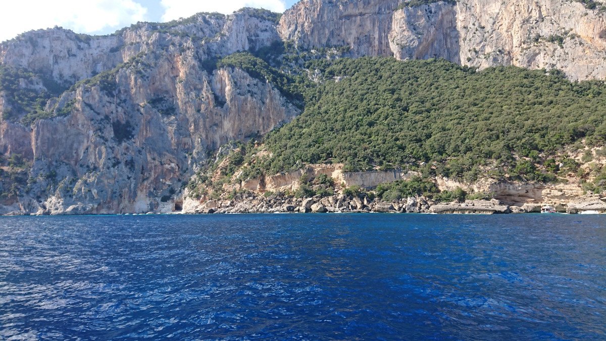 6475959d4b5990.15396382