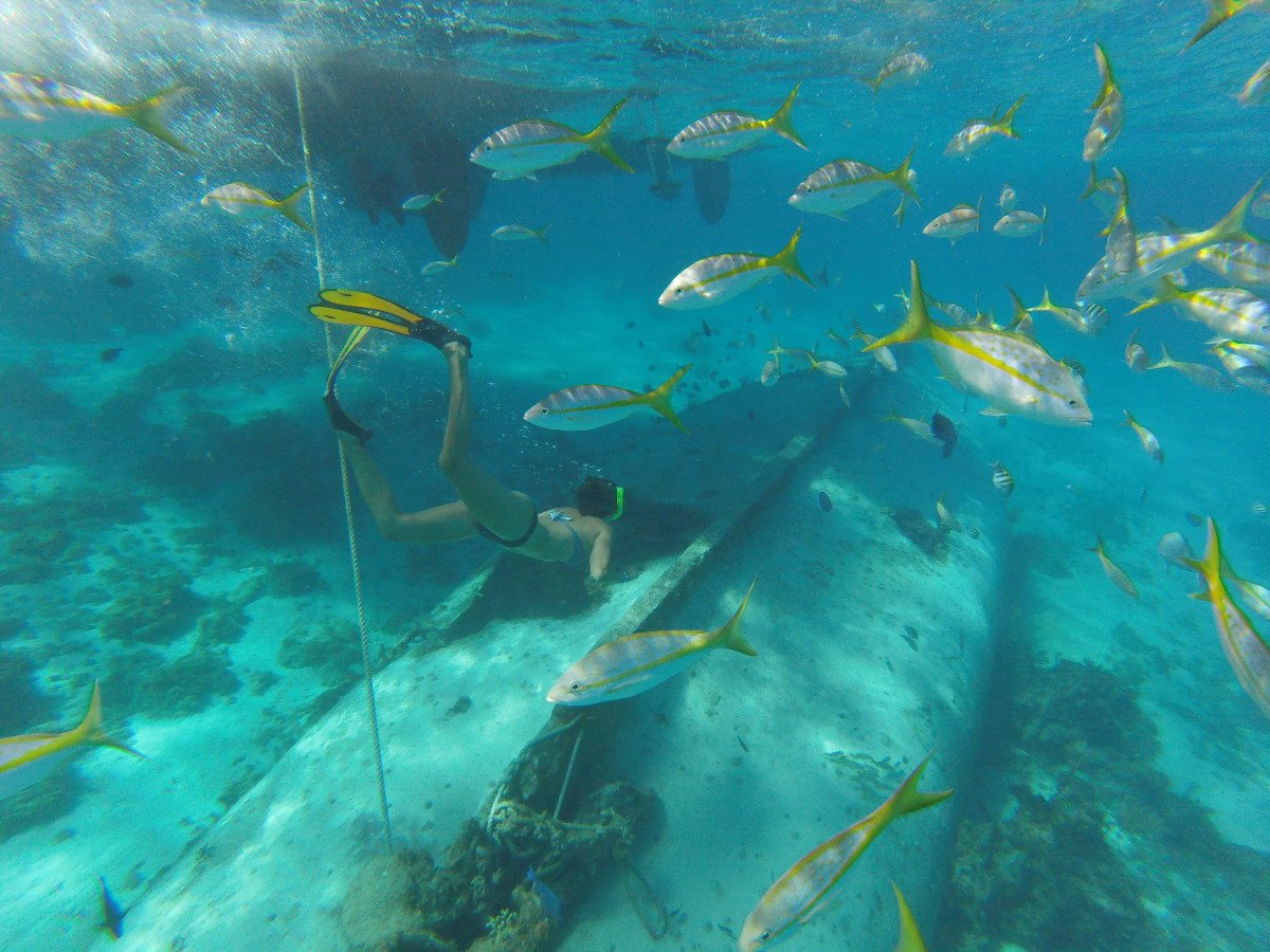 Explorando las aguas turquesas de Cuba