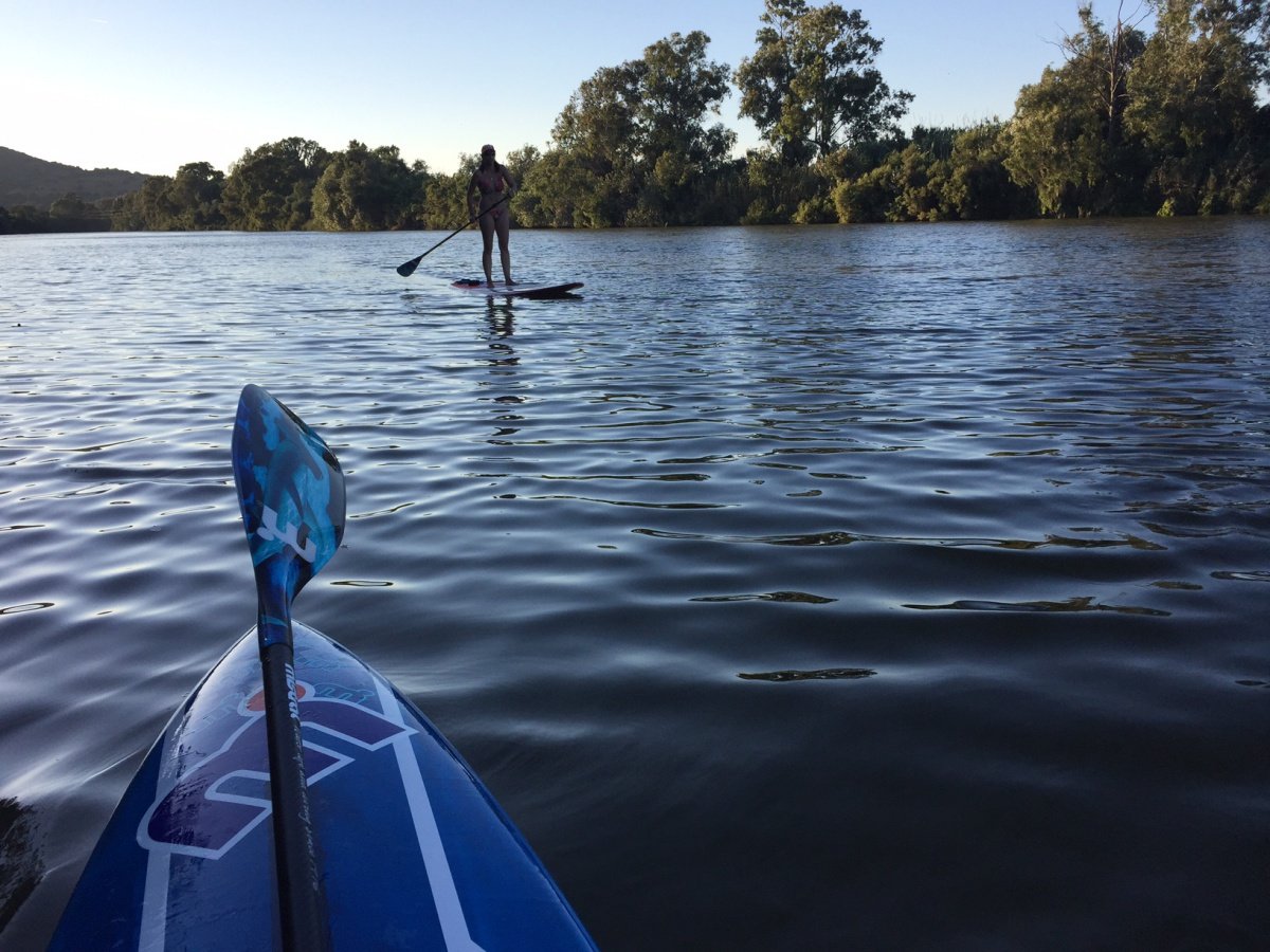 viaje en barco catamaran 
