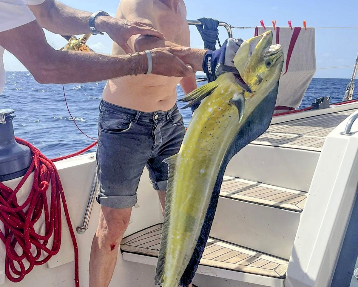 Aventura en el mar en catamarán