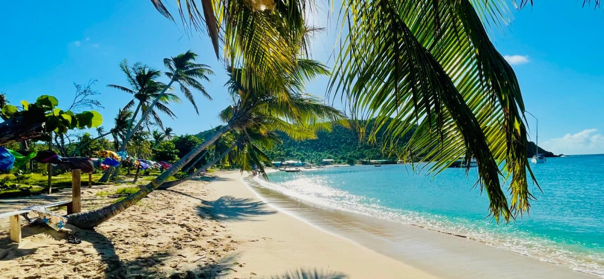 Sail through the Clear Waters of the Caribbean