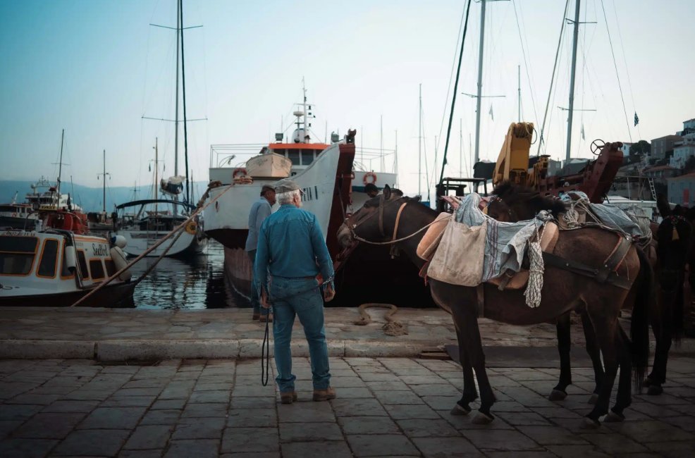 Bildschirmfoto 2024-10-14 um 11.44.00