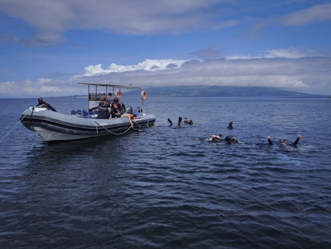 f07ba535-156f-4cda-a3b2-b4b42377bc29