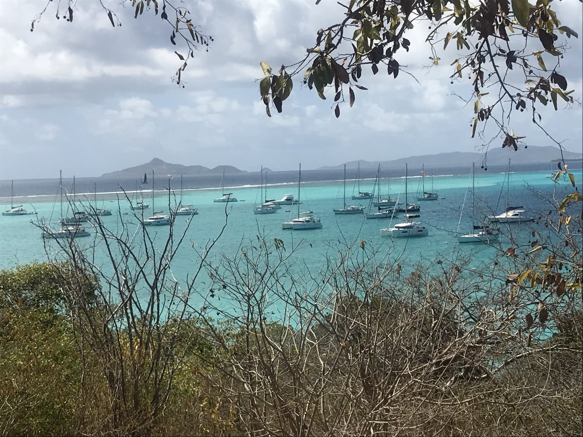 Explora las aguas cristalinas de las Islas Vírgenes Británicas con el sonido del reggae