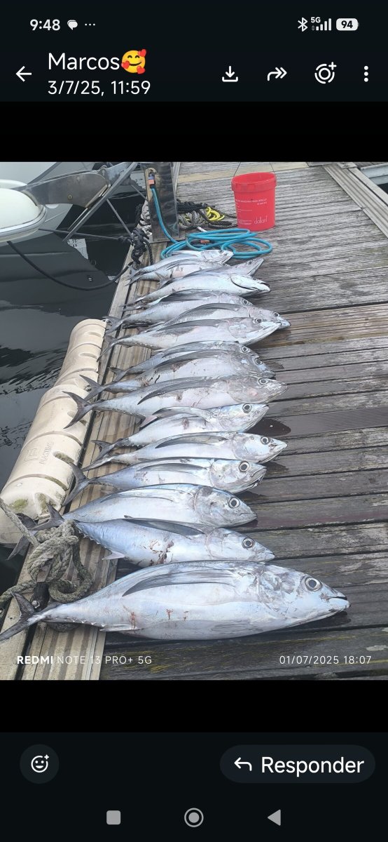 Fischerboote im Hafen von Gijón