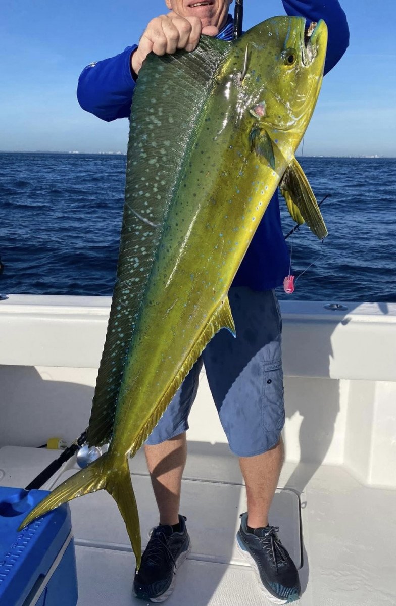 Cádiz Fishing Trips with Lures