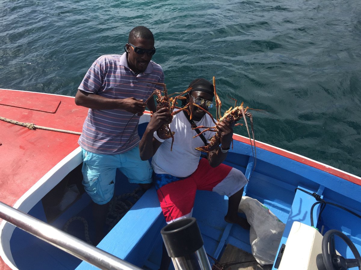 Learn to sail and discover new horizons in the Atlantic