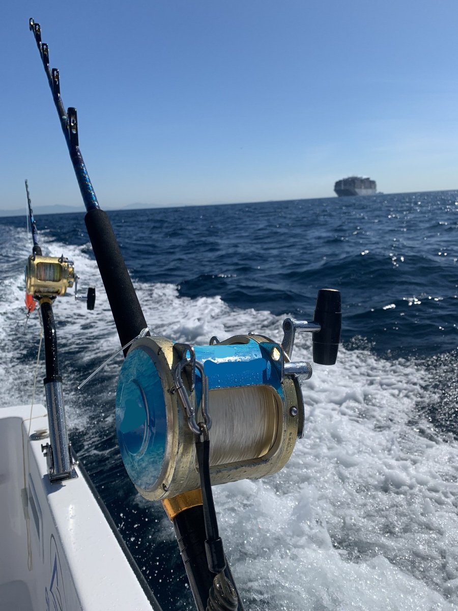 659cfdc183f195.74300528