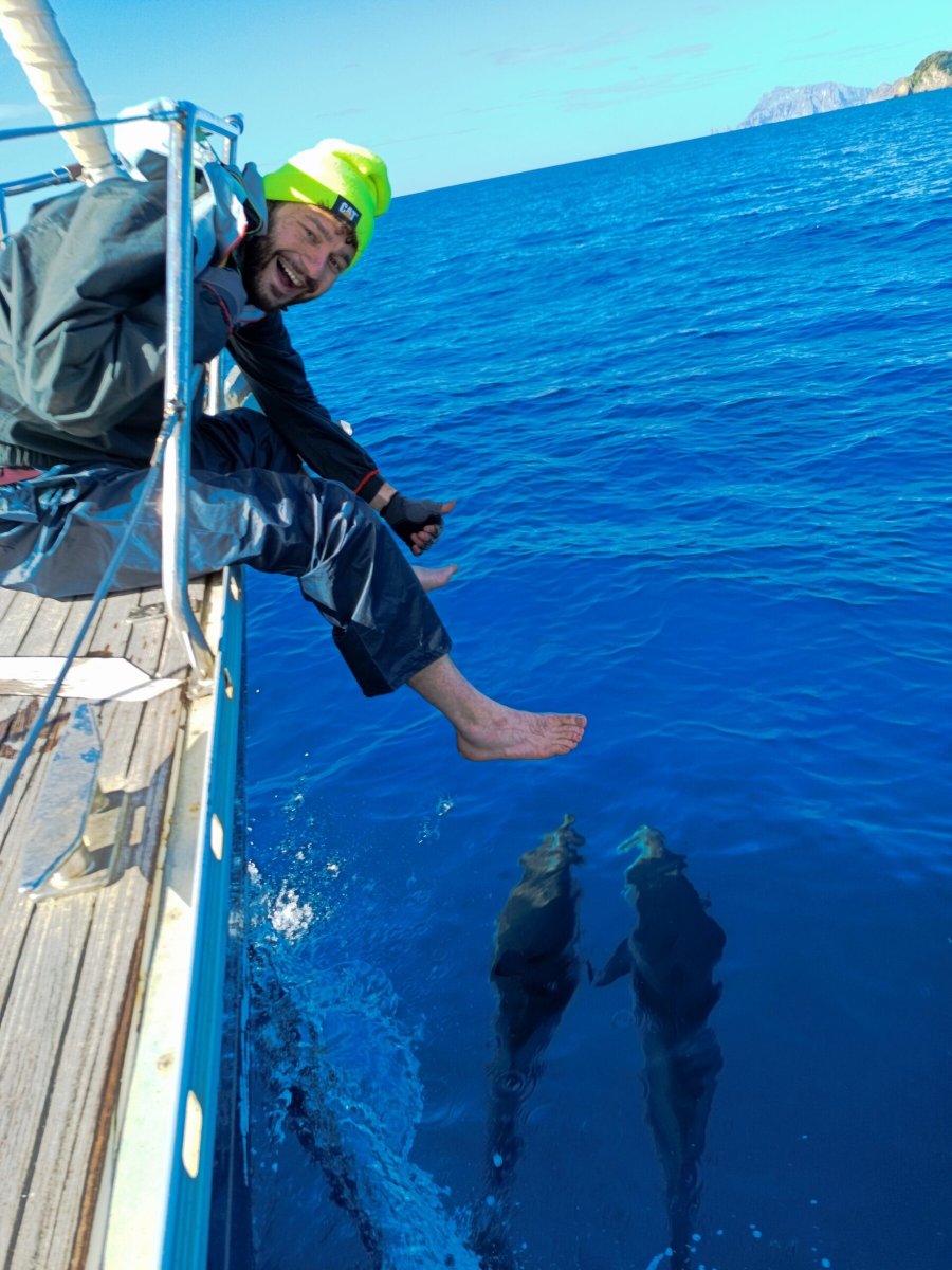 Segelboot - Comar Yachts - 5 {{i18n.cabins}}