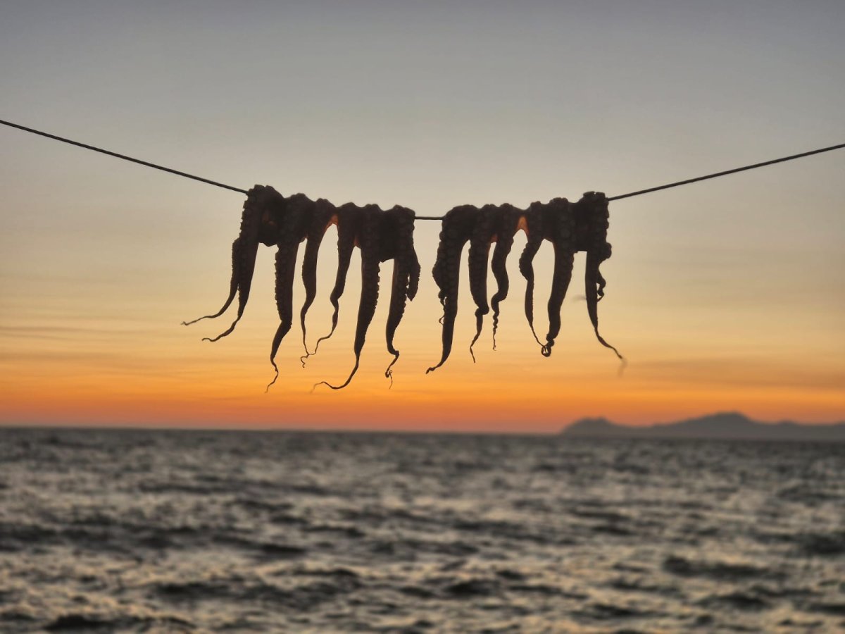 Yacht trip through the Greek Sporades Islands - adventure and peace