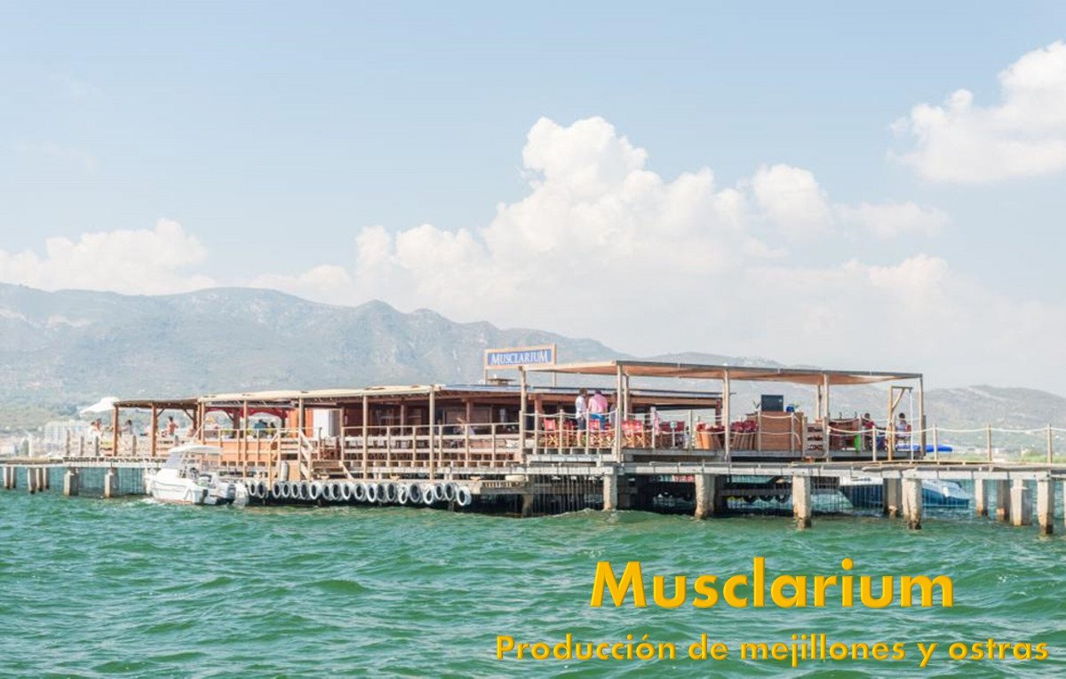 Avventura in mare e sapore locale sulla Costa del Azahar