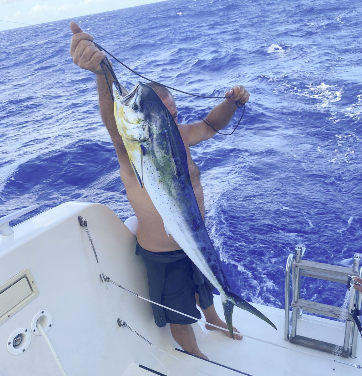 Grupo de veleros en la ruta desde Valencia a Lanzarote