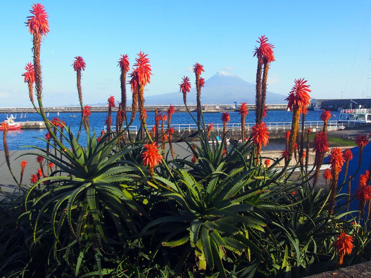 Ankunft in New York mit dem Skyline im Hintergrund