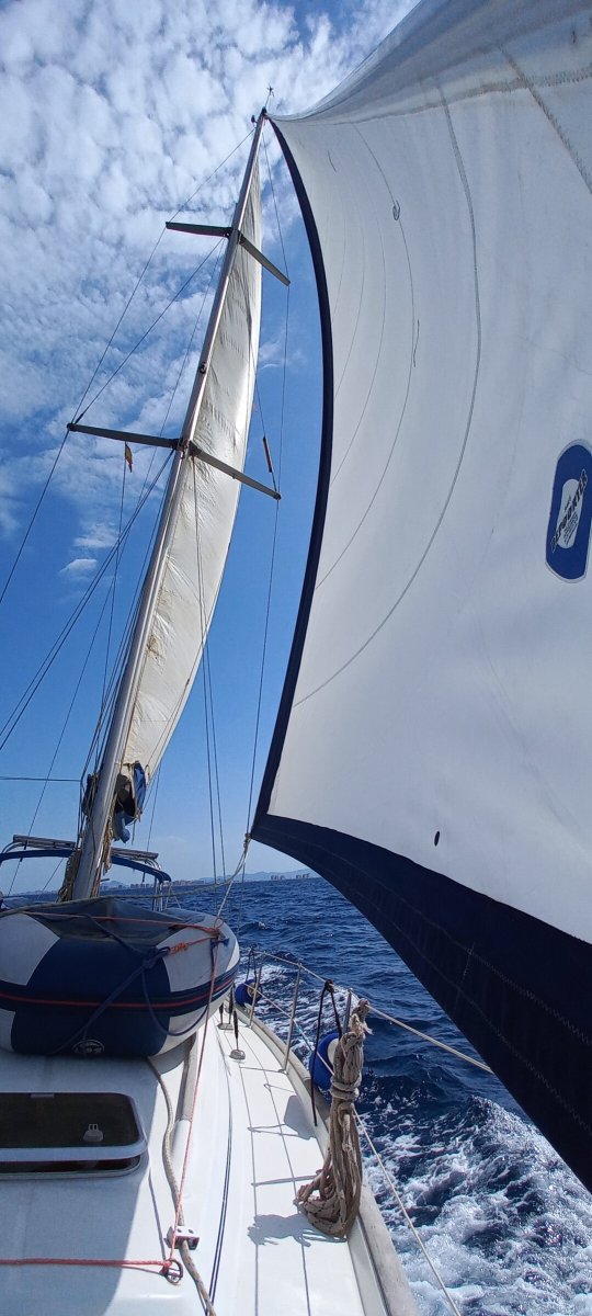 Sailing course in Dehesa de Campoamor, Alicante