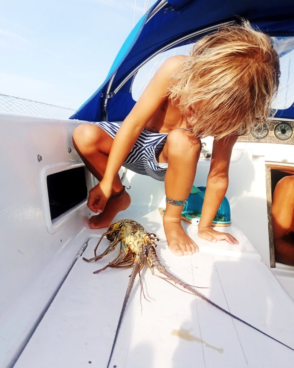 Barca a vela - Puma Veleros - 12 metri