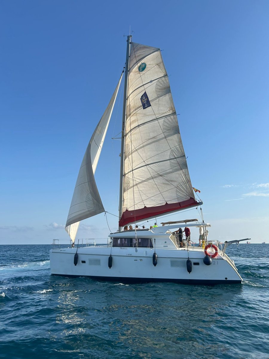 Catamarano in navigazione verso Estepona nel Mediterraneo