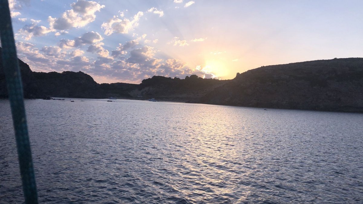 boat trips mallorca