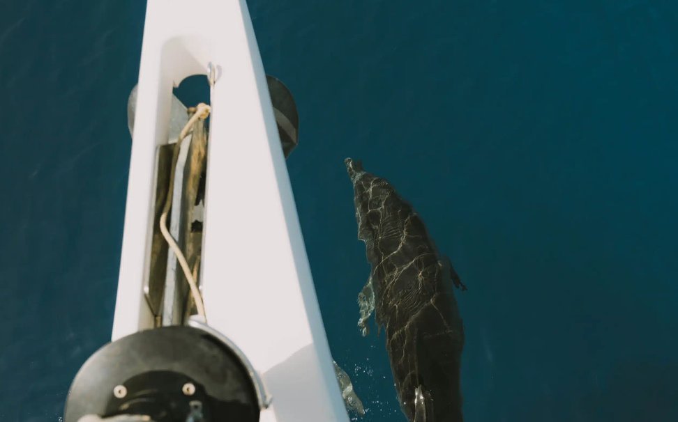 Bildschirmfoto 2024-10-17 um 13.01.11