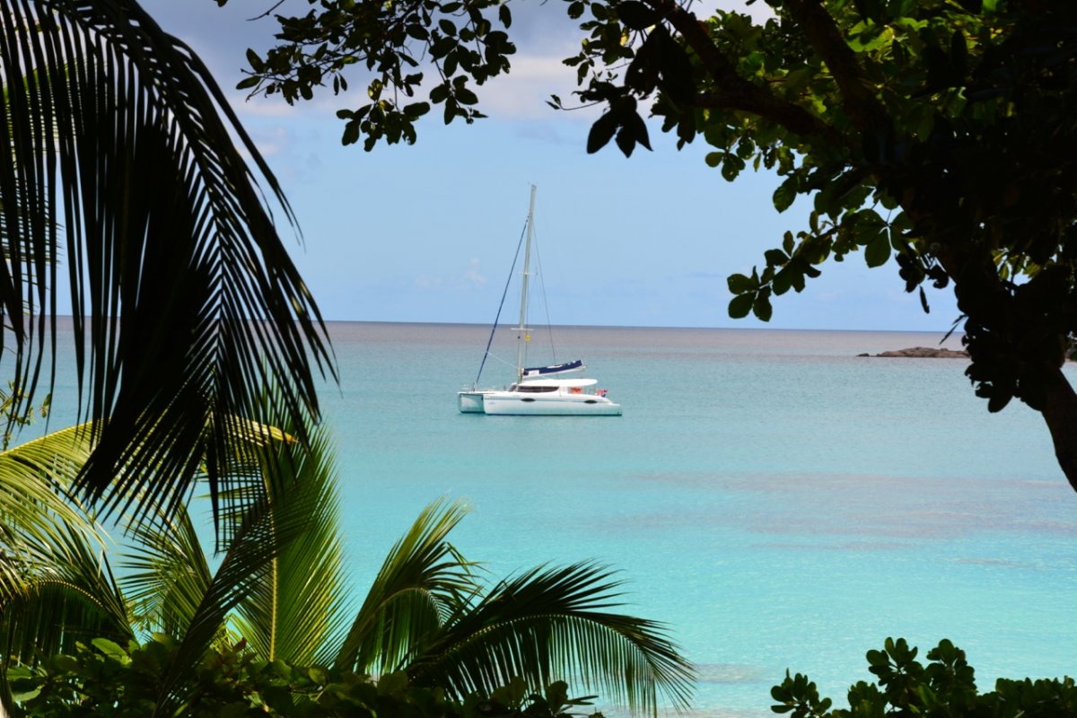 Sailing Course - Master the Art of Navigation