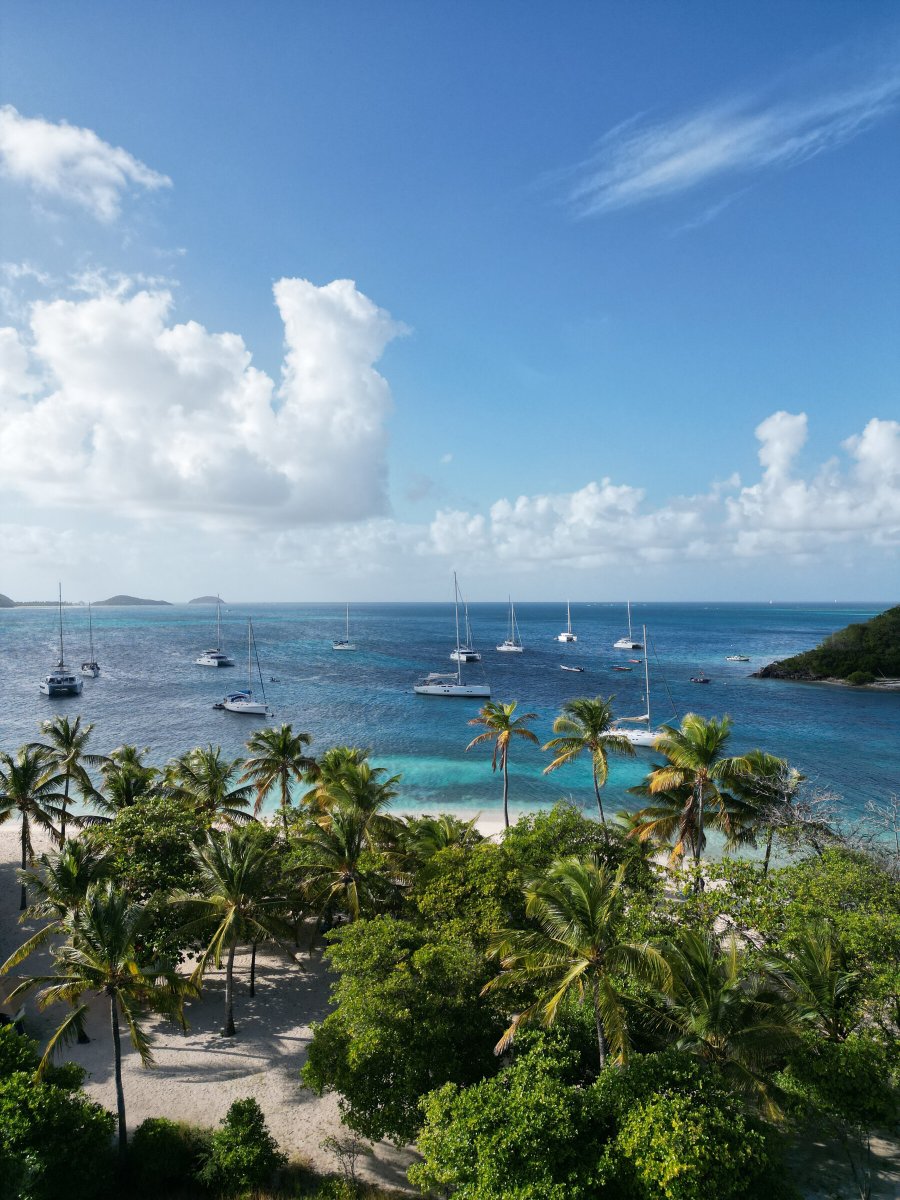 Enjoy the natural beauty and history of the Grenadines on a sea journey