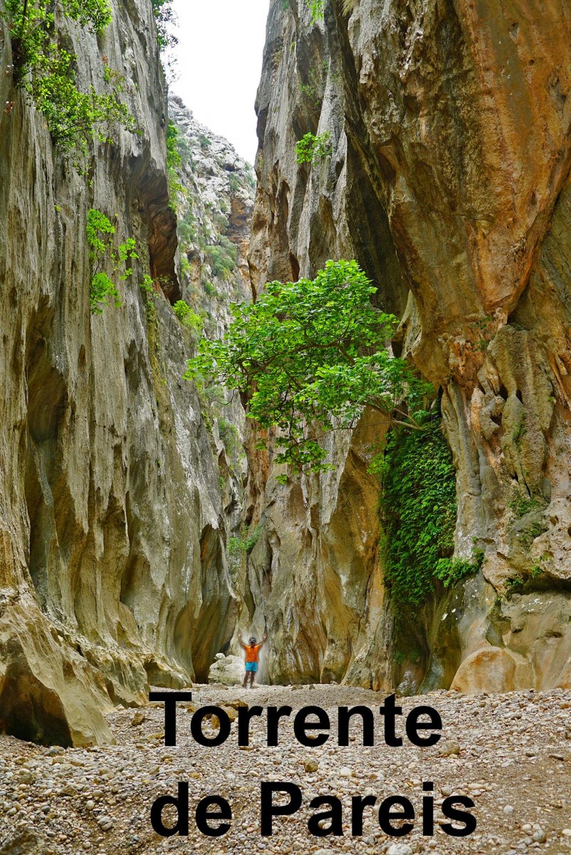 Explora la belleza natural de la costa de Mallorca en un viaje en barco