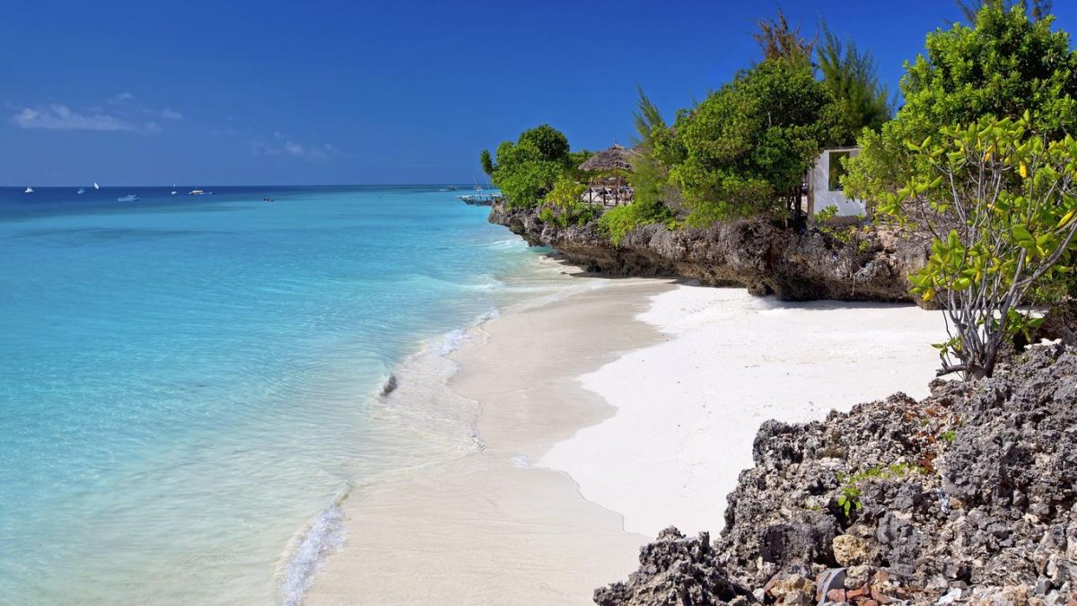 Entdecken Sie die Naturwunder von Sansibar und Pemba auf einer Katamaran-Kreuzfahrt